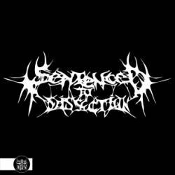 Sentenced To Dissection : Sentenced To Dissection